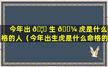 今年出 🦄 生 🌼 虎是什么命格的人（今年出生虎是什么命格的人呢）